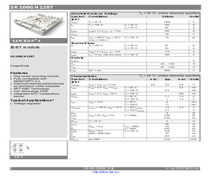 SK100GH128T.pdf