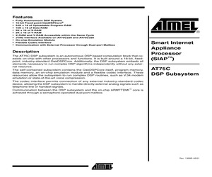 AT75C DSP SUBSYSTEM.pdf