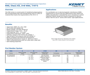 463R433050M2K.pdf