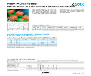 NBME337M004LBDB0023.pdf