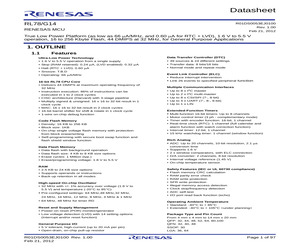 R5F104GFDFB.pdf