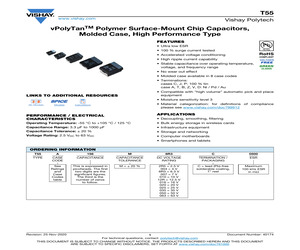 T55A107M2R5C0100.pdf