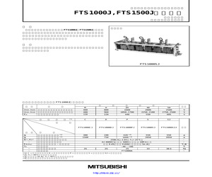 FTS1000SJ.pdf