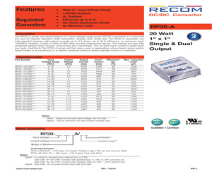 RP20-2405SAW/P-HC.pdf