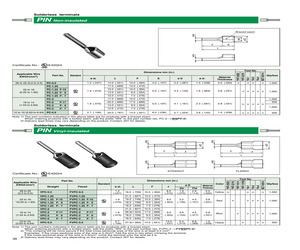 FVDPC-5.5.pdf