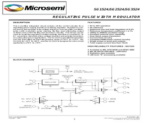 SG2524N.pdf