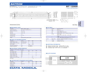 BT12009.pdf