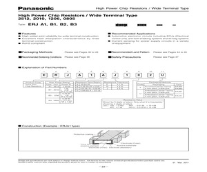 ERJ-B2CFR024V.pdf