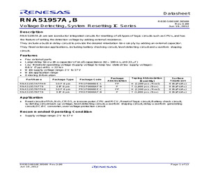 RNA51957BFP#H0.pdf