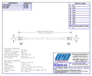 PE36676-12.pdf