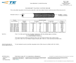 RAY-103-3.0(100).pdf