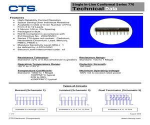 770111823P.pdf