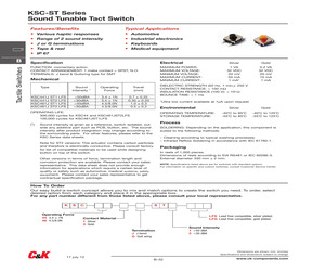 Y31C61941FP LFS.pdf