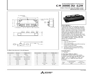 CM300E3U-12H.pdf