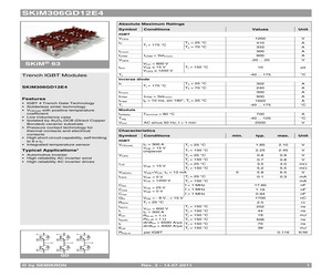 SKIM306GD12E4.pdf