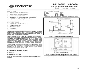 DIM600NSM45-F000.pdf