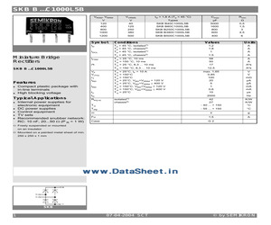 SKBB80C1000L5B.pdf