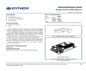 DIM500BSS06-S000.pdf