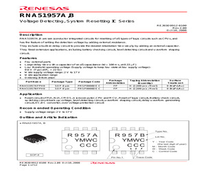 RNA51957BFPH0.pdf