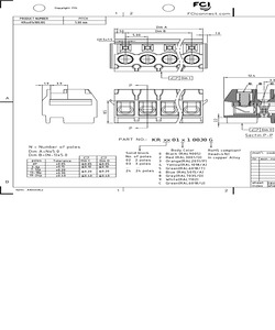 KR06010100J0G.pdf