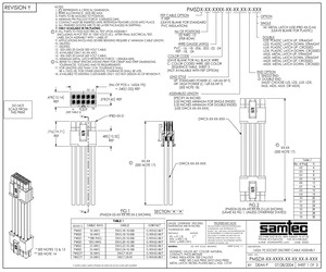 PMSDT-02-24-SP-10.00-S.pdf