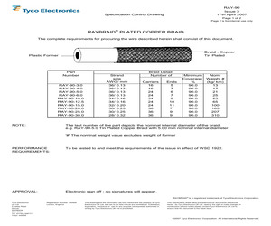 RAY-90-10.0(100).pdf