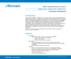 ATSAMC21J18A-AUT.pdf