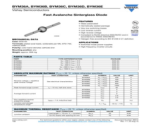 BYM36B.pdf