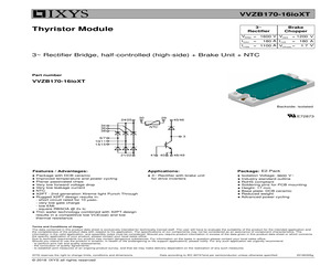 VVZB170-16IOXT.pdf