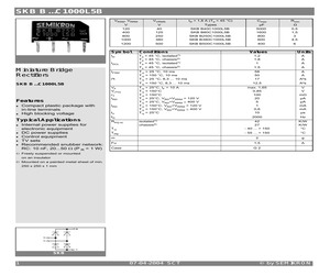 SKBB500C1000L5B.pdf