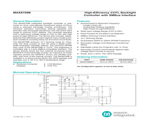 MAX8709BETI+.pdf