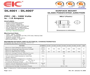 DL4007.pdf