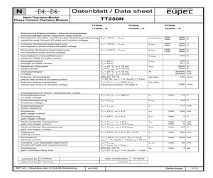 DT250N.pdf