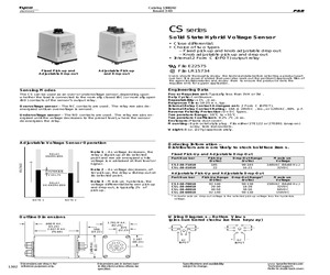 CSJ-38-70010 (1-1393138-2).pdf