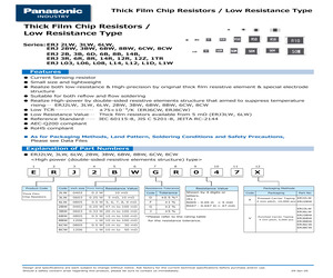 ERJ-6DSFR16V.pdf