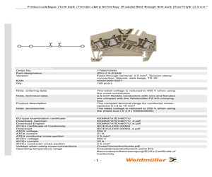 1706010000.pdf