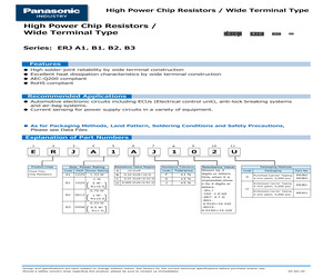 ERJB2CFR024V.pdf