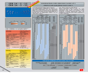 CER2.pdf