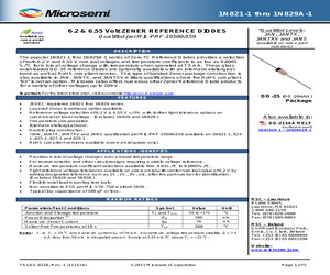 1N821A-1-2%E3.pdf