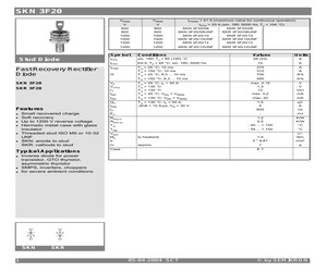 SKN3F20.pdf