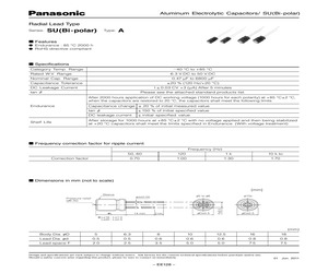 ECEA1AN101X(B).pdf