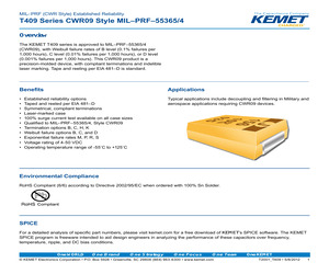 CWR09FC476KBC.pdf