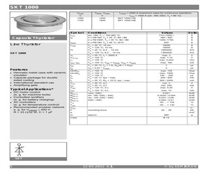 SKT1000/16E.pdf