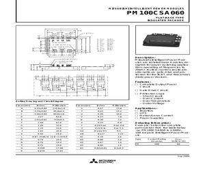 PM100CSA060.pdf