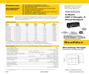 R05P205S/P/R6.4.pdf