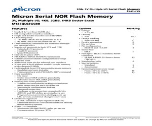 1011574-1K8700T REV C.pdf