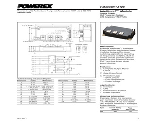 PM300DV1A120.pdf