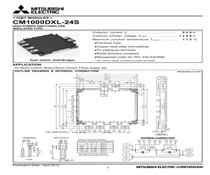 CM1000DXL-24S.pdf