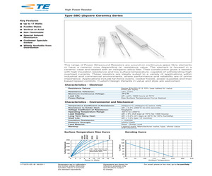 BCV SUPPORT PILLARS.pdf