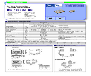 XG-1000CA106.2500M-CBL3.pdf